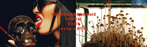 ешки Гусев