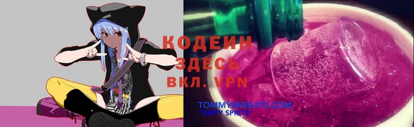 прущий лед Гусь-Хрустальный