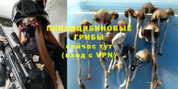 прущий лед Гусь-Хрустальный