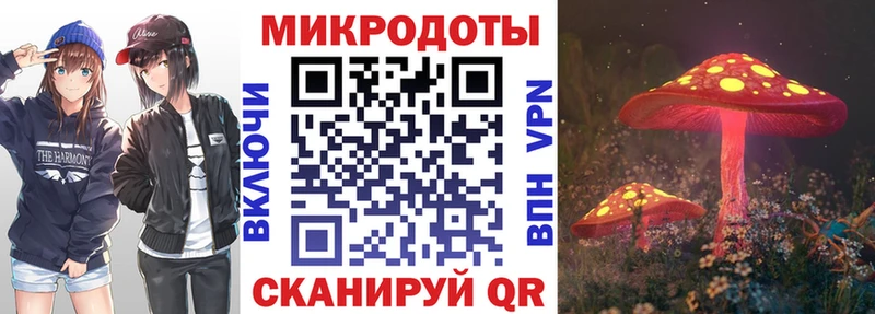 Купить  Ворсма  Псилоцибиновые грибы мицелий 